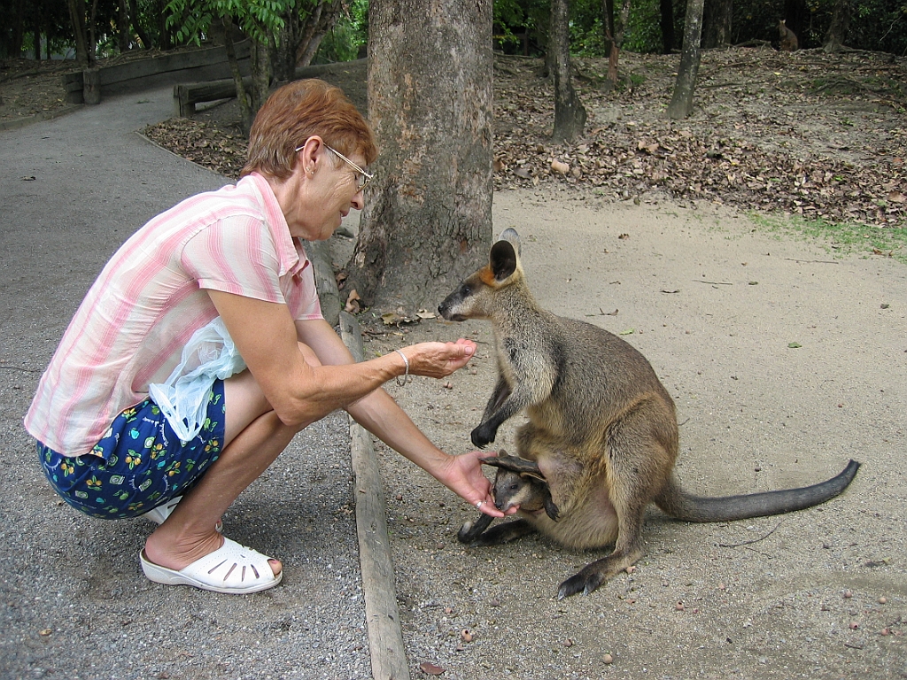 085 Port Douglas Wildlife Habitat.jpg